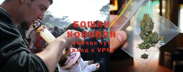 ГАЛЛЮЦИНОГЕННЫЕ ГРИБЫ Арсеньев