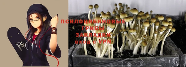 ГАЛЛЮЦИНОГЕННЫЕ ГРИБЫ Арсеньев