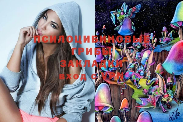 ГАЛЛЮЦИНОГЕННЫЕ ГРИБЫ Арсеньев