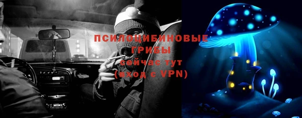 ГАЛЛЮЦИНОГЕННЫЕ ГРИБЫ Арсеньев