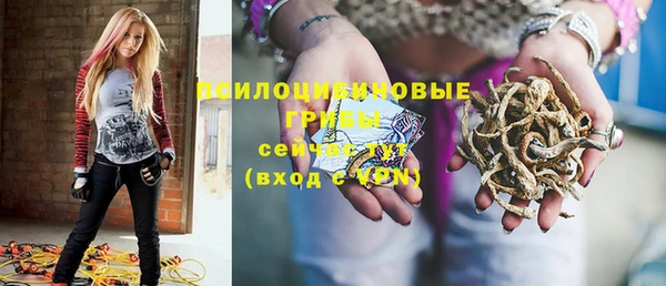 ГАЛЛЮЦИНОГЕННЫЕ ГРИБЫ Арсеньев
