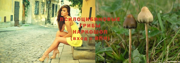 ГАЛЛЮЦИНОГЕННЫЕ ГРИБЫ Арсеньев