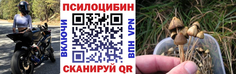 наркота  KRAKEN tor  Галлюциногенные грибы ЛСД  Заозёрный 