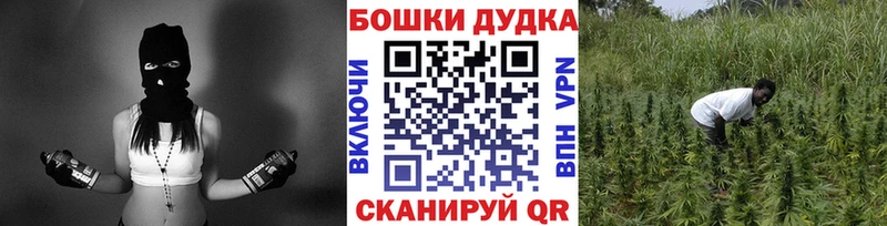 Канабис Bruce Banner Заозёрный